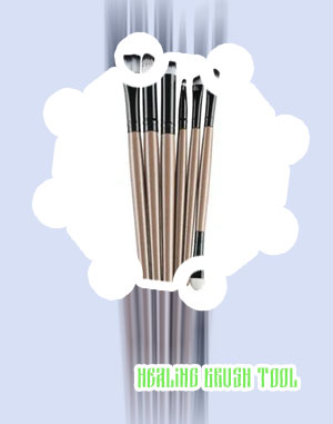 Sigma eye brush set