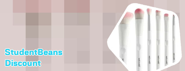 Wet n wild brush set